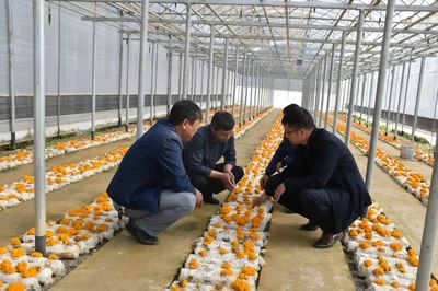 政府圍著企業轉 永勝各部門當好&ldquo;服務員&rdquo;_頭圖