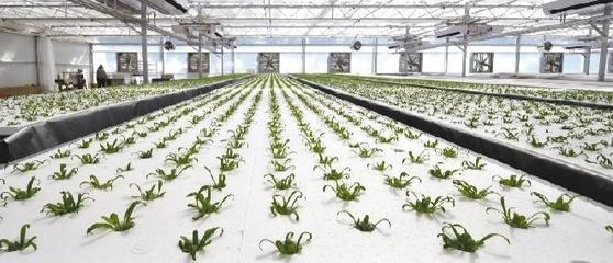 看新民如何為民企成長厚植土壤