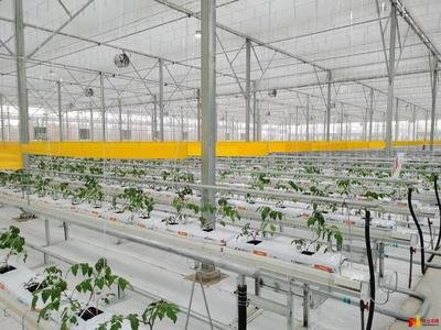 高碑店智圖園區:立足都市農業 助推鄉村振興