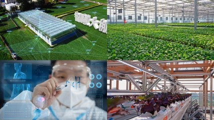 智慧工廠智慧工廠AE模板下載_光廠(VJ師網(wǎng))