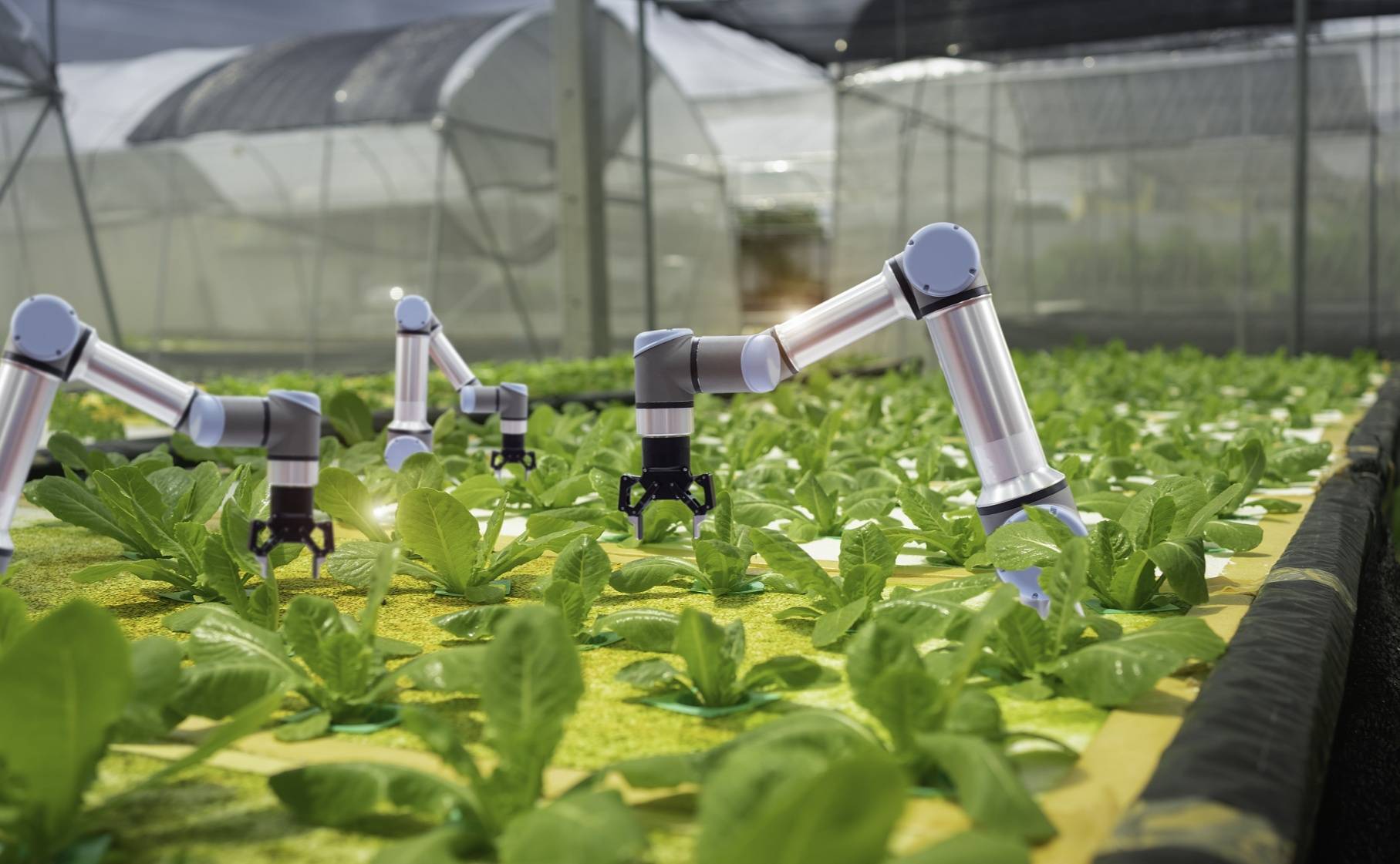 農業農村部:對農業科創企業支持貸款規模提高至單筆不超1000萬元_服務