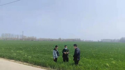 尉氏縣永興鎮:&ldquo;科技壯苗&rdquo;服務到田間地頭 保夏糧豐收