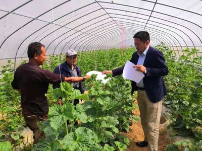 【千陽縣農業農村局】科技入園優服務 結出惠農"幸福果"