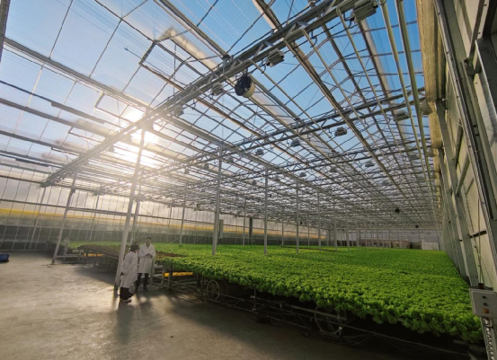 科技小院迎來首場賽事,力促農(nóng)研技術(shù)落地服務(wù)鄉(xiāng)村振興落地服務(wù)鄉(xiāng)村振興