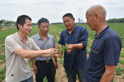 河南省正陽縣政協(xié)精準(zhǔn)扶貧 科技進田--人民政協(xié)網(wǎng)