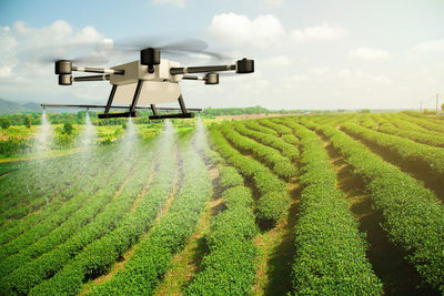 2022農險圖繪|多地制定&ldquo;作戰圖&rdquo;備戰春耕,科技賦能瞄準數據痛點