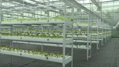 全省綠色蔬菜產(chǎn)業(yè)高質(zhì)量發(fā)展現(xiàn)場推進會在響水召開!附評論.