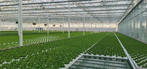 在這里能看到未來農業的&ldquo;模樣&rdquo;