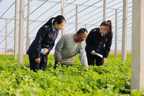 稅引擎 驅(qū)動(dòng)智慧農(nóng)業(yè)展開 豐收 畫卷 央廣網(wǎng)