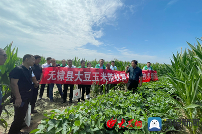 無棣縣科技特派員送“技”到田間，助力農(nóng)業(yè)科技服務(wù)升級